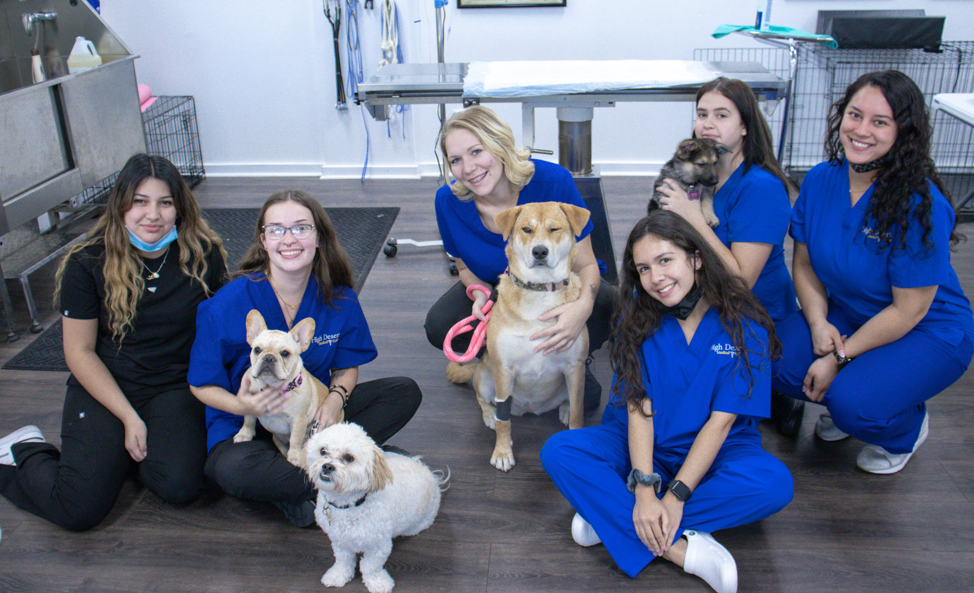 Veterinary Assistant Program & Certification School Temecula High