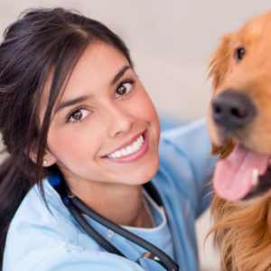 Bakersfield veterinary assistant