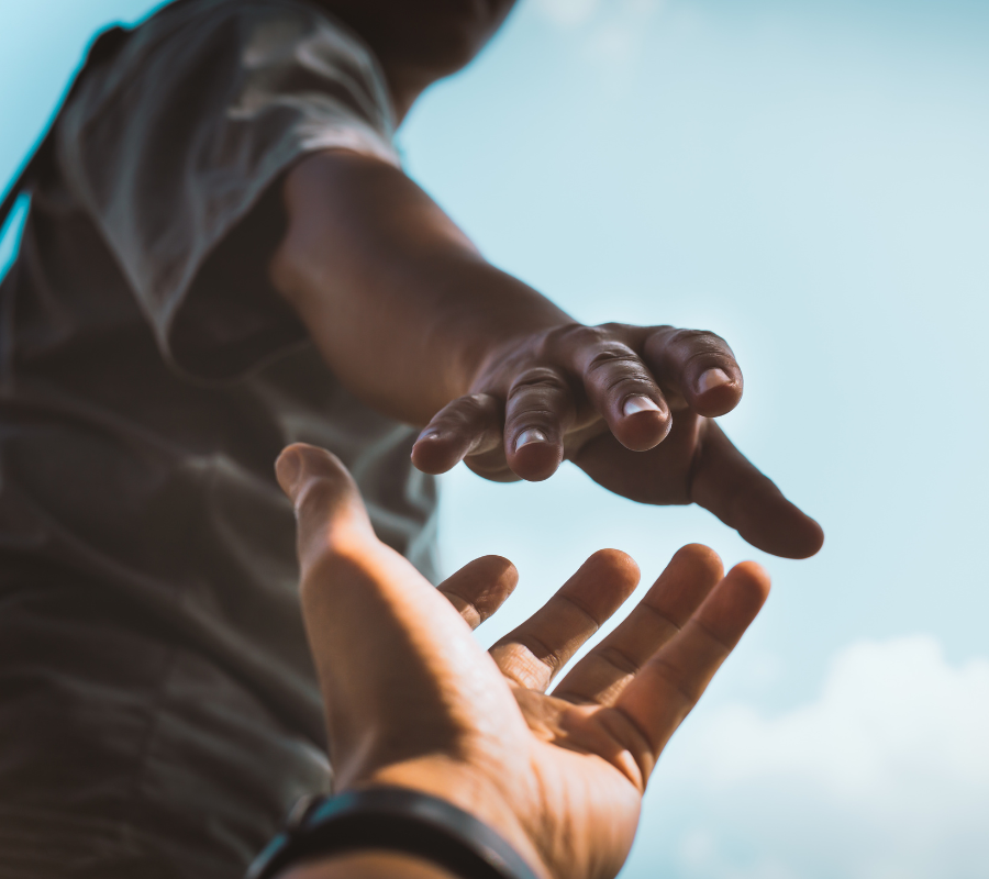 volunteer opportunities