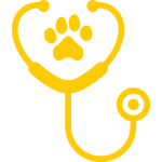 Stethoscope