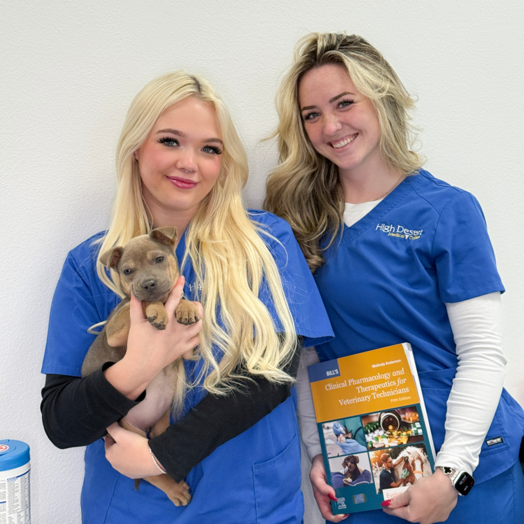 veterinary-assistant