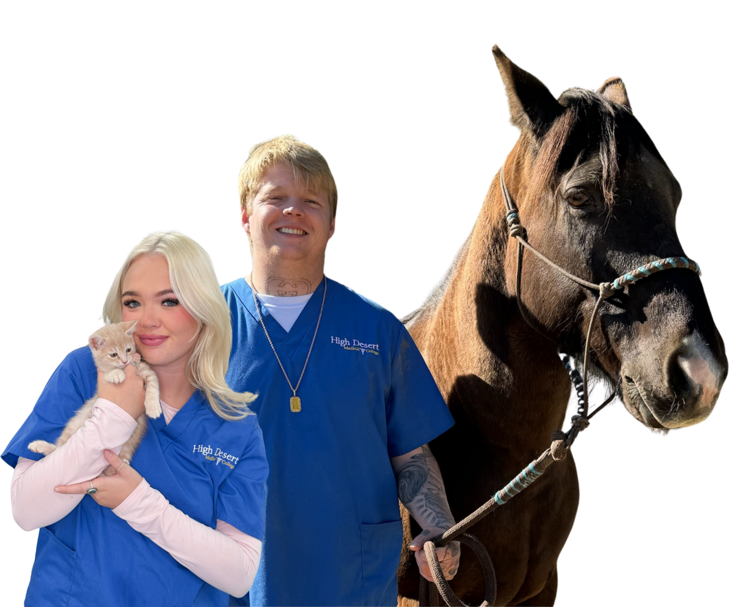 Veterinary Assistant