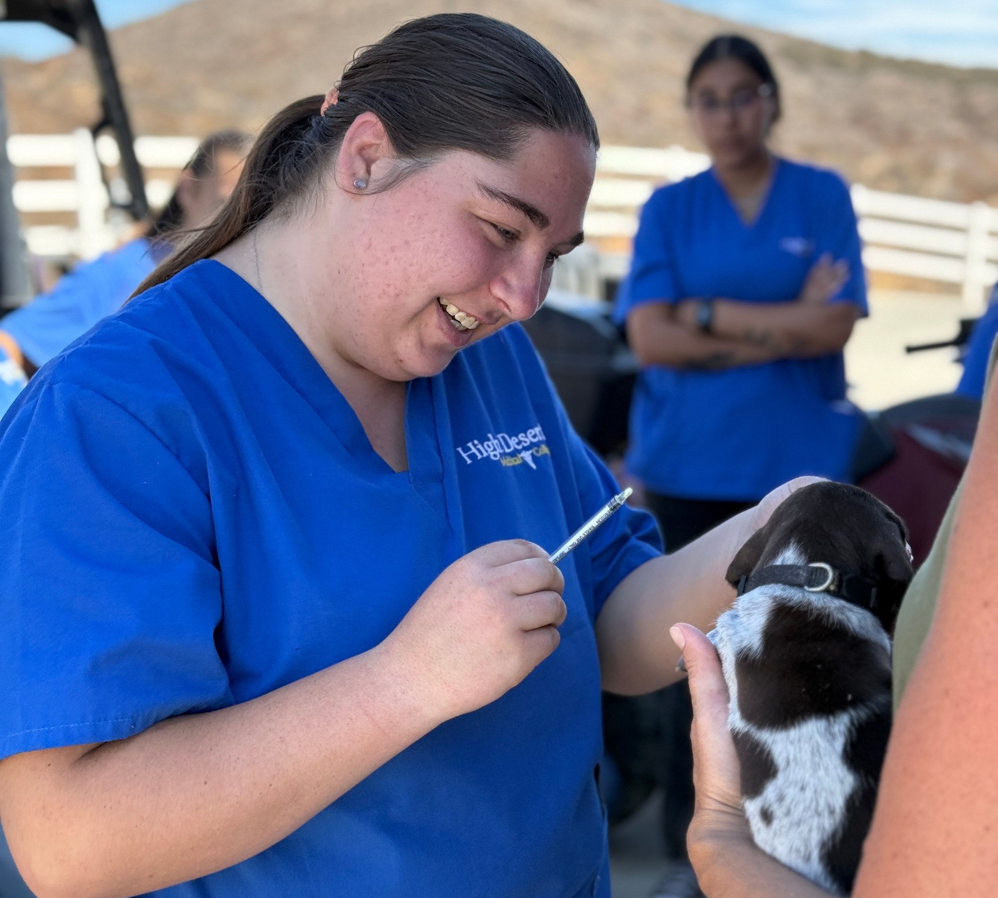 Veterinary Assistant