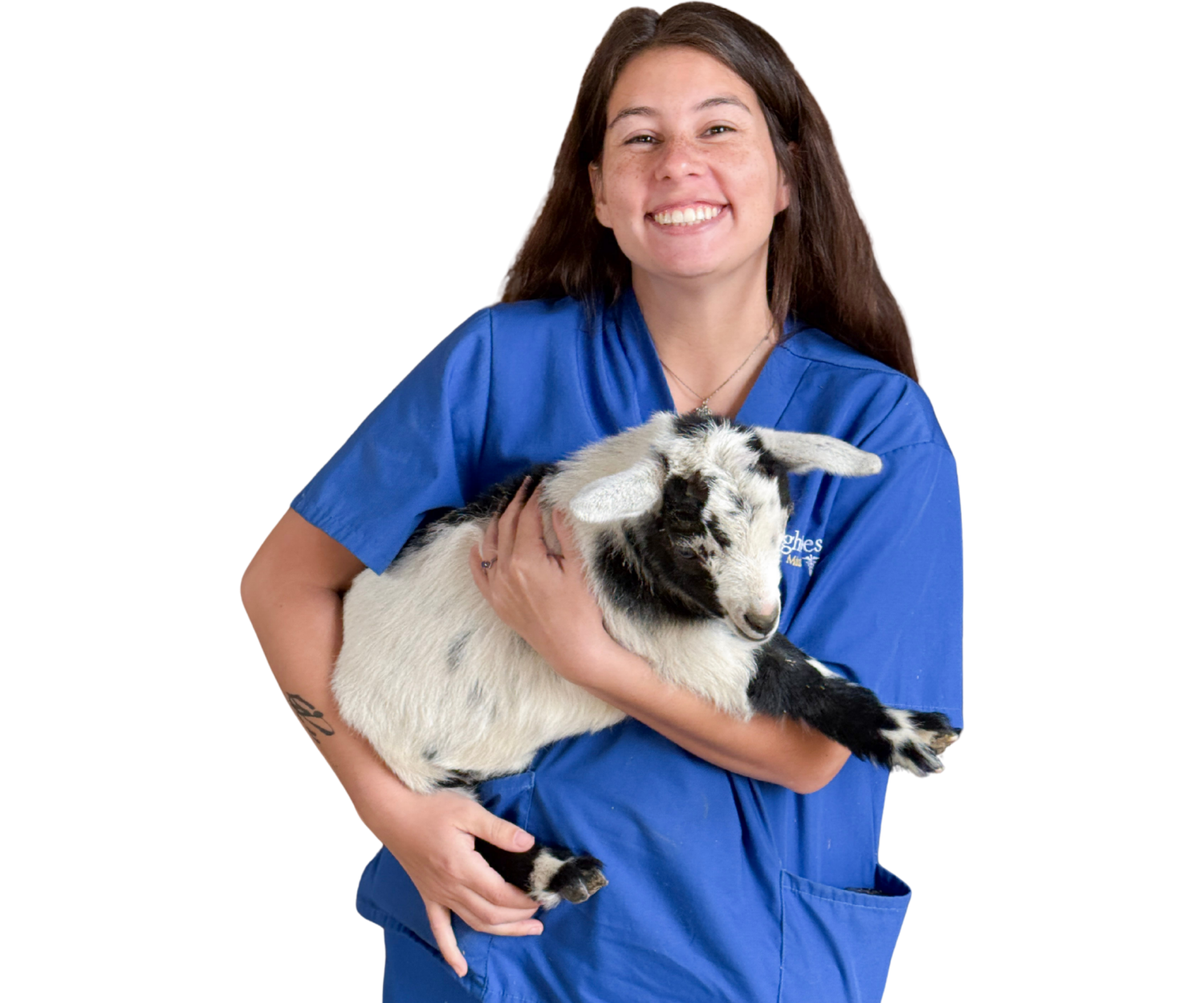 Veterinary Assistant